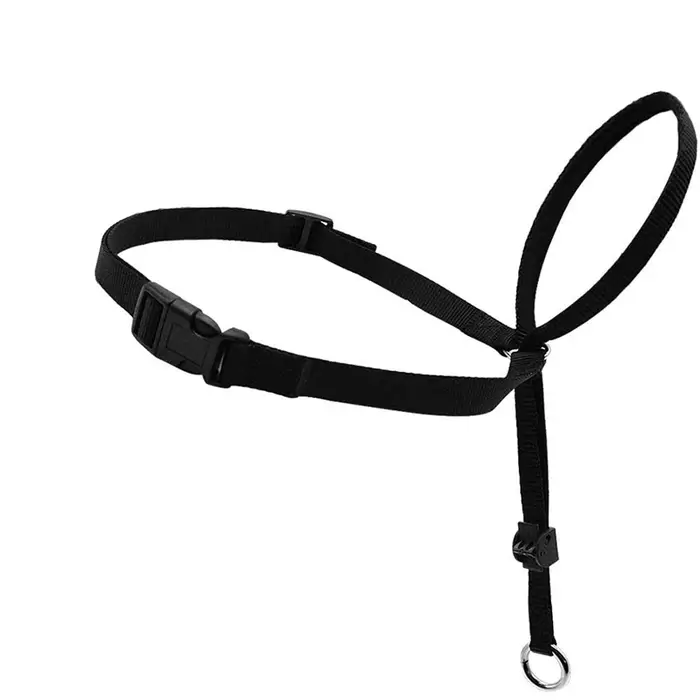 Collier de tête rembourré réglable en nylon pour chien, laisse douce anti-traction, outils d'entraîn