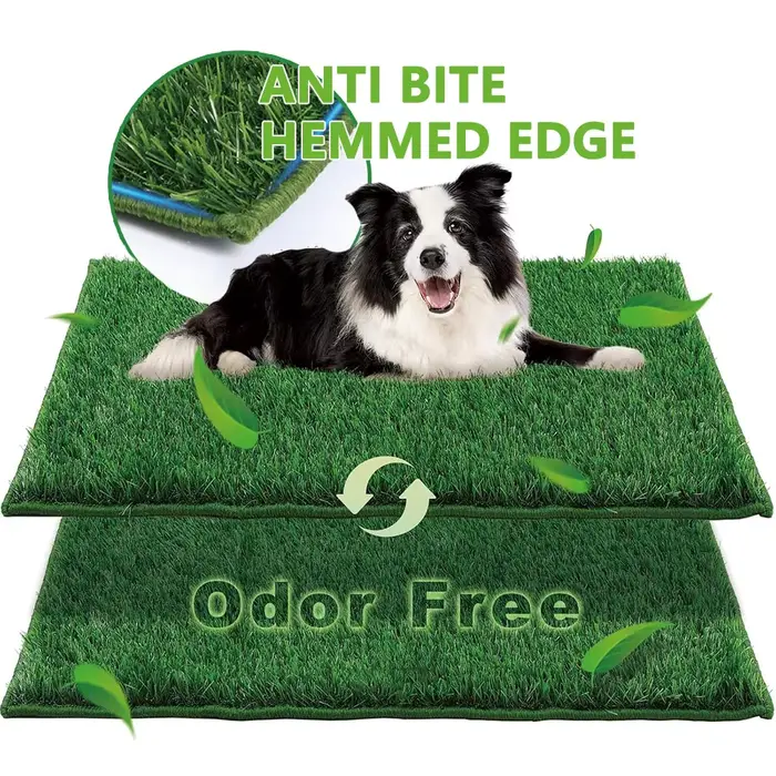 Toilette pour chien réutilisable