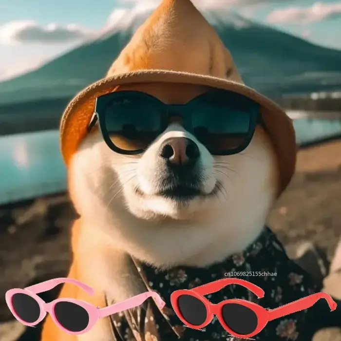 Lunettes de soleil pour chien