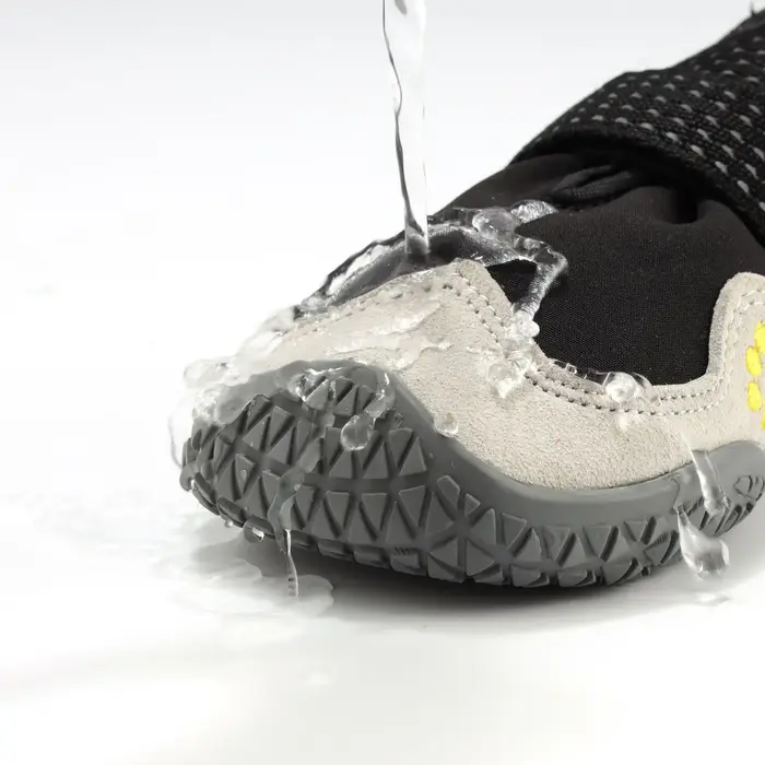 Chaussures pour chien de grand format imperméables et antislip pour randonnées et promenades hivernales occassions spéciales