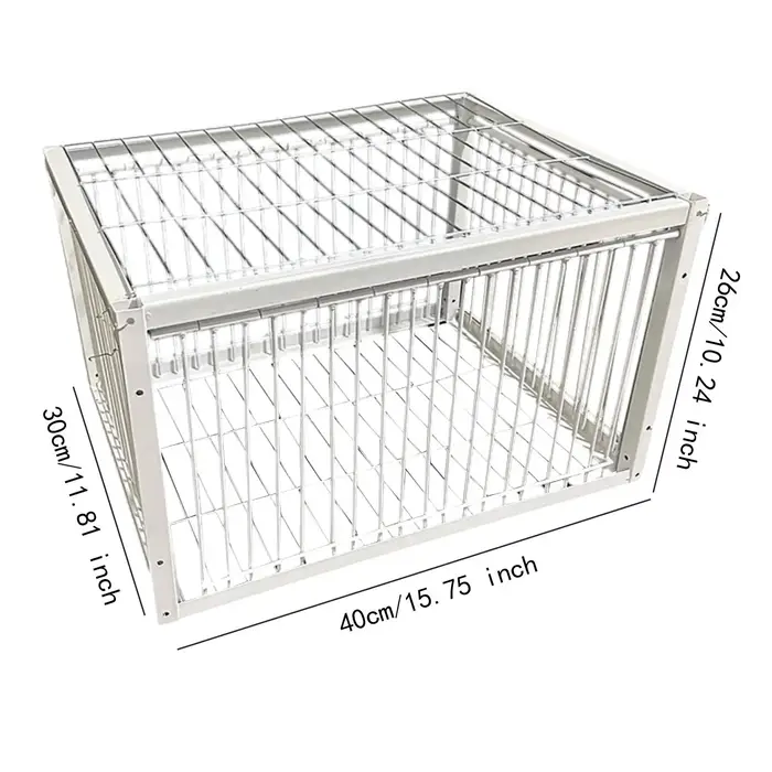 Pigeon Épais existent et Jetable, pour Course, Ferme, Garages, Fournitures HPBird