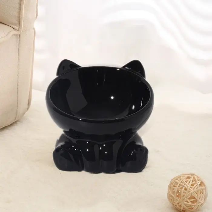 Bol en céramique mignon pour chat et chien avec pieds surélevés, design diagonal, bol à eau pour ani