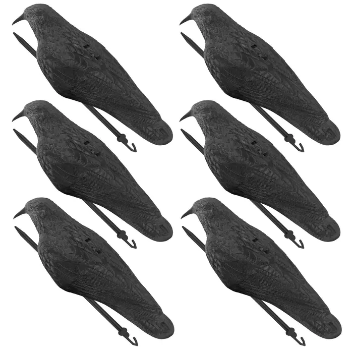 Kit 6 leurres corbeau en plastique - Simulation réaliste pour chasse et protection des cultures