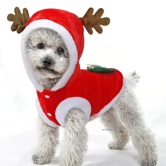 Costume de noël pour chien