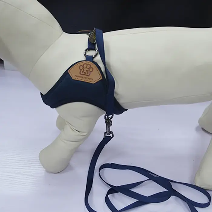 Harnais et laisse pour chien, adaptés aux chiots, aux chiens de petite à moyenne taille, choix idéal