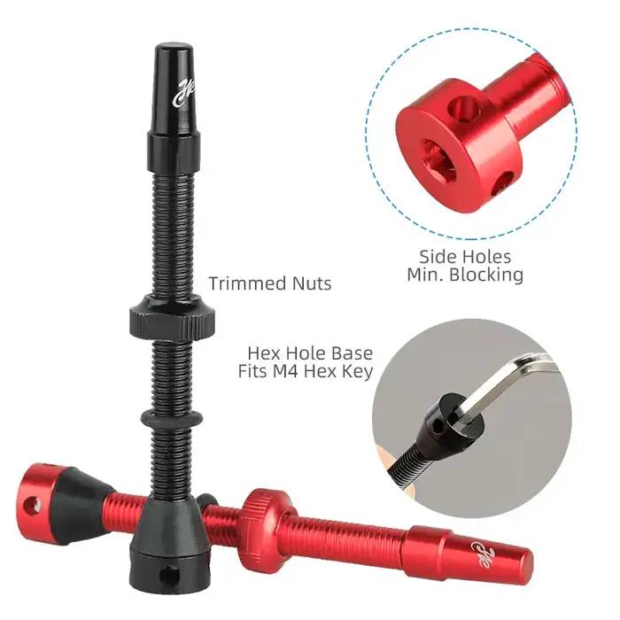 Valve Tubeless F/V pour vélo, 44 60 80mm, avec outil en option pour vélo de gravier, poteau en allia