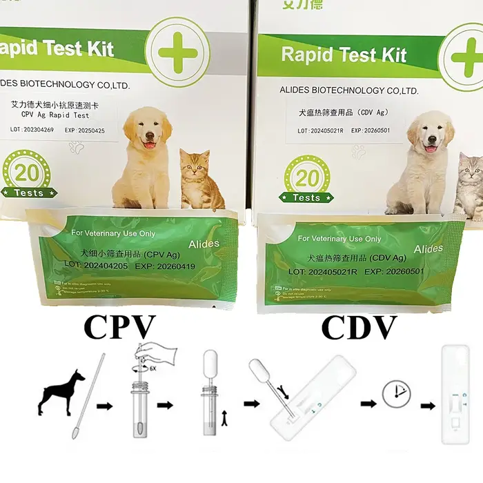 Kit de détection de chien pour animaux de compagnie