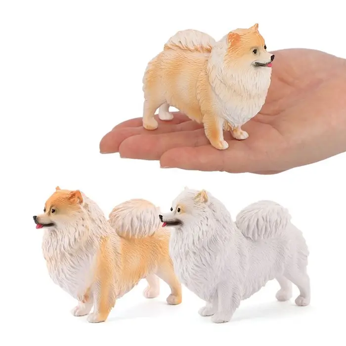 Modèle de chien Pomeranian réaliste