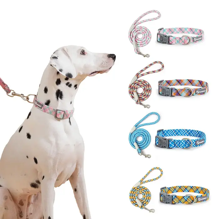 Ensemble de laisses et de colliers pour chiens de petite