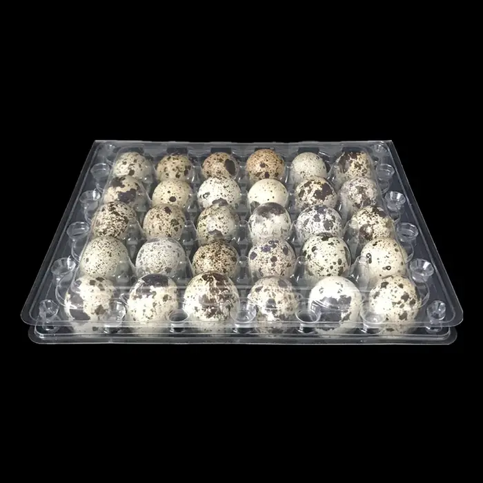 Plateau à œufs de caille, 12 pièces, matériau pour animaux de compagnie de qualité alimentaire, Comp
