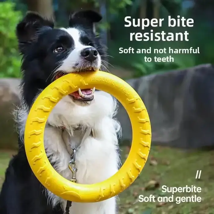 Jouets d'anneau pour chien