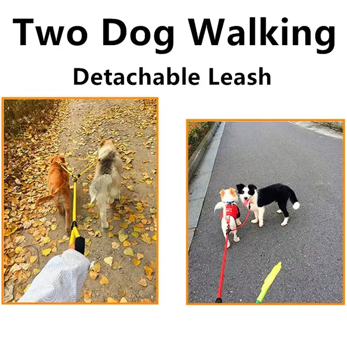 Laisse Double pour Chien Séparable en Cuir Robuste Polyvalente pour Promenades en Forêt et Concours Canins Occasions Spéciales