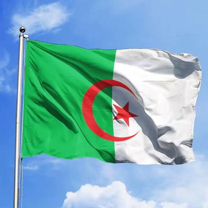 Drapeau national algérien 90x150cm Polyester pour défilés/bureau/décor extérieur - Anti-décoloration