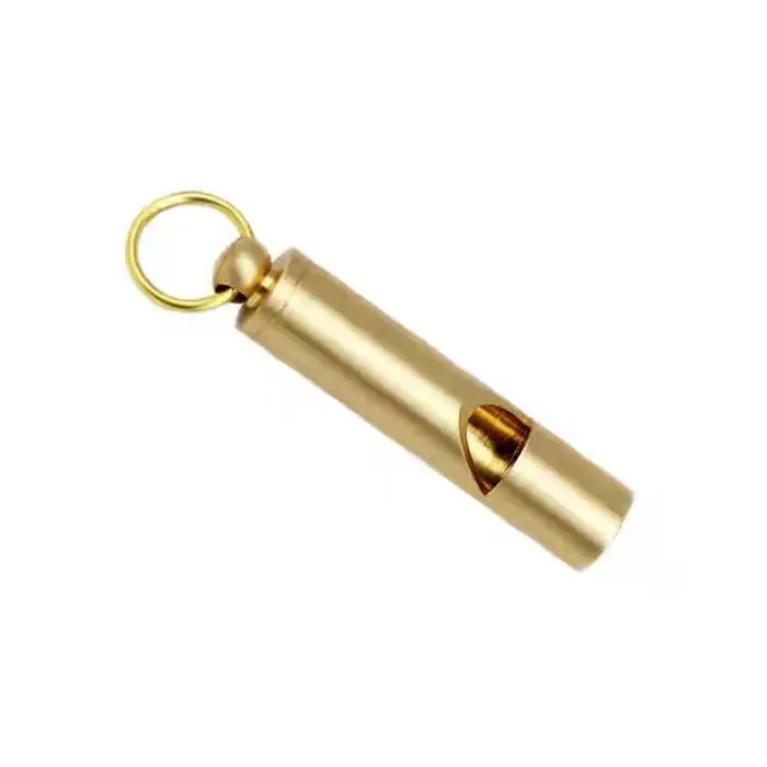 Sifflet d'entraînement pour chien avec porte-clés, outil de rappel pour animaux de compagnie, pour l