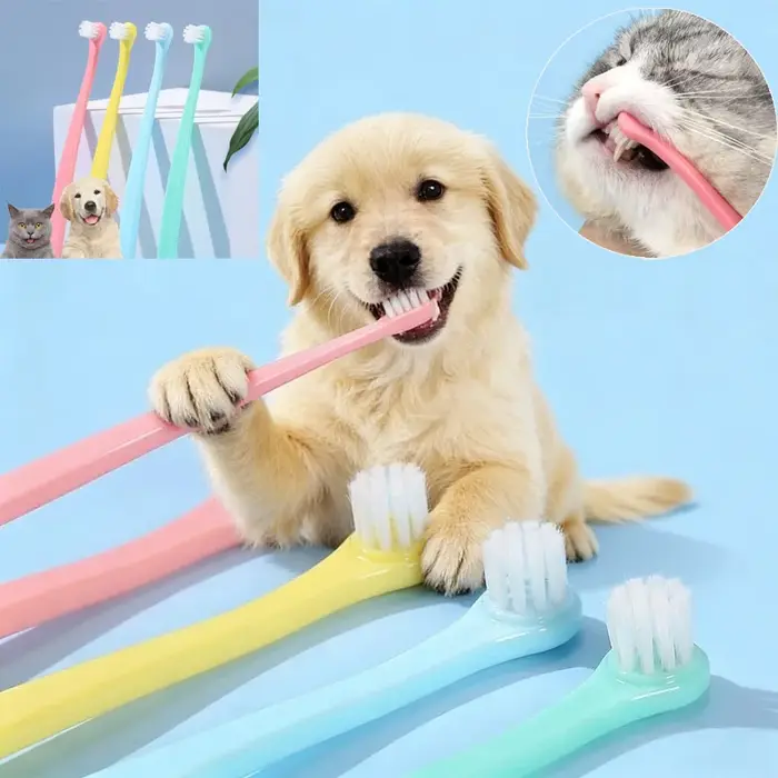 Brosse à dents pour animaux de compagnie