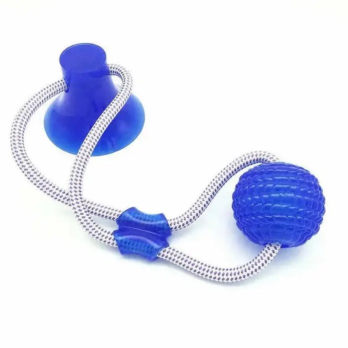 Jouet interactif pour chien avec ventouse puissante et corde de traction, pour chiens de taille moye