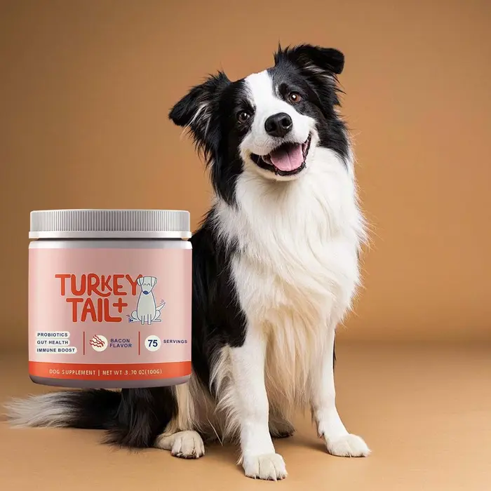 Complément probiotique pour chiens, ingrédients doux, soin quotidien, améliore le confort intestinal