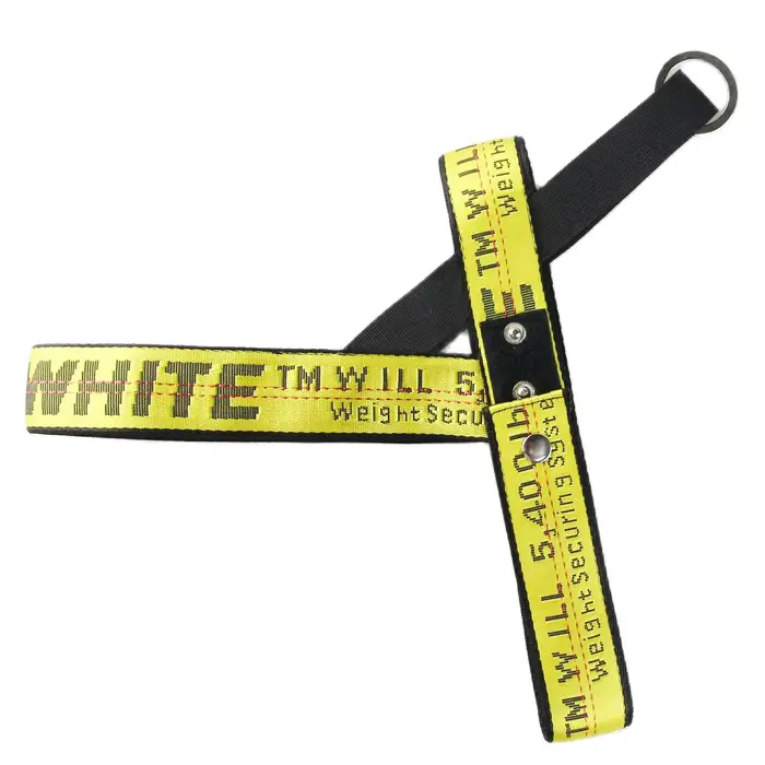Ensemble collier et laisse SFP pour chien