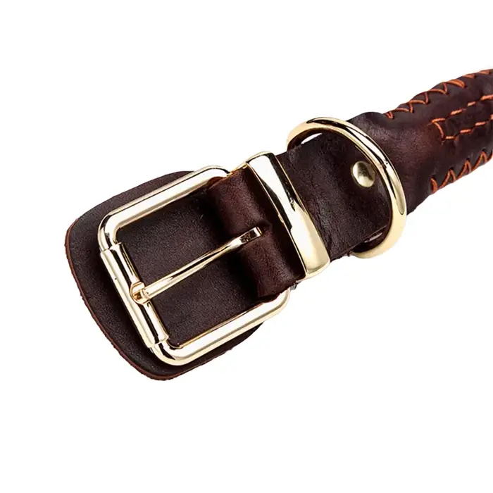 Collier pour chien en cuir tressé à huit brins