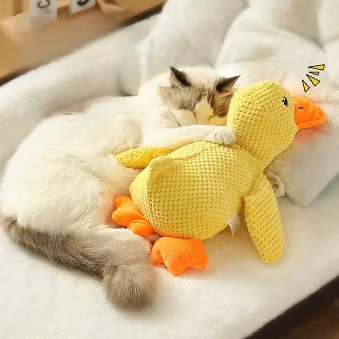 Jouet couineur en peluche douce pour chien