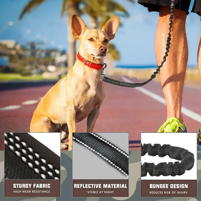 Laisse pour chien pour grands chiens