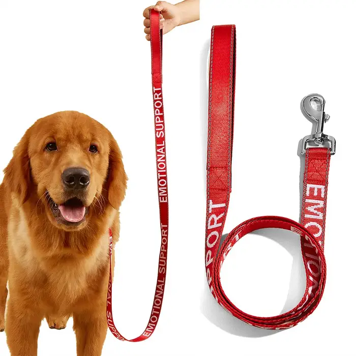 Laisses pour petits chiens et chats, couleur unie, Service pour chiens et Support émotionnel, laisse Jacquard à réflexion, entraînement de marche pour animaux de compagnie puissants