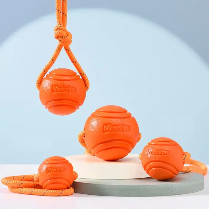 Ballon d'entraînement pour chien sur corde
