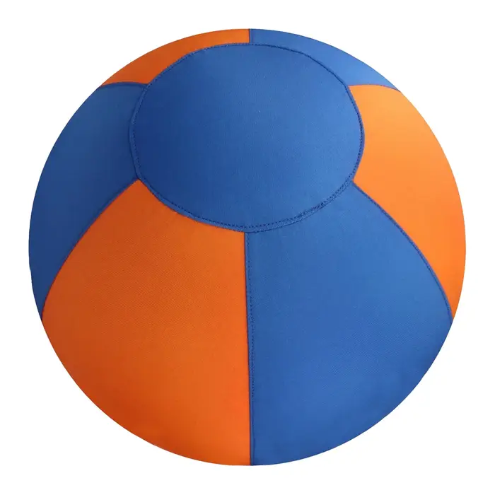 Ballon de dressage pour chiens avec housse de protection et pompe, jouet d'entraînement pour les mai