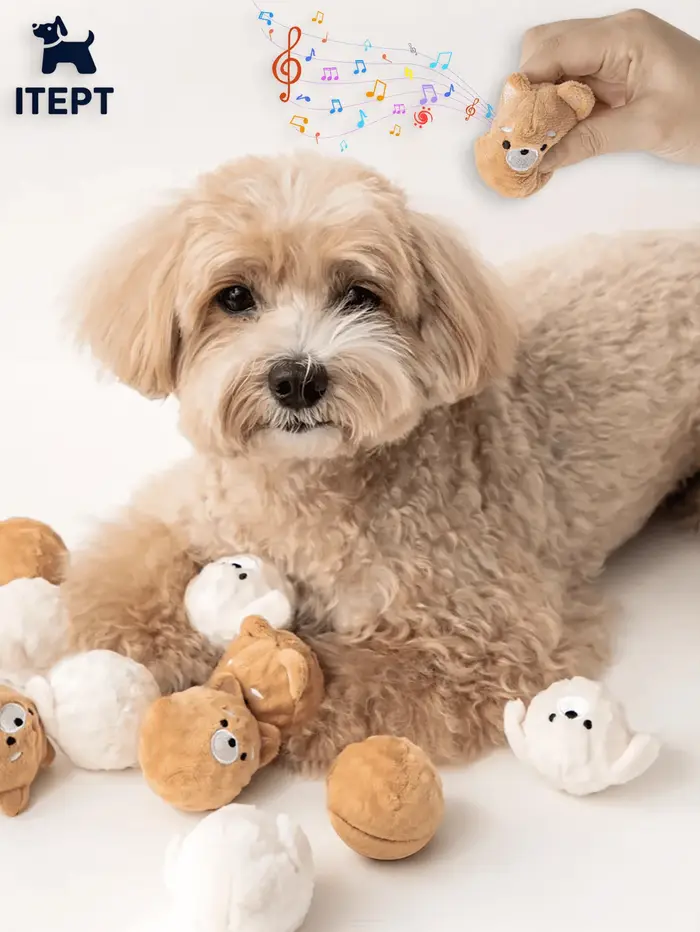 Jouet à mâcher couineur pour chien - Balle rebondissante en forme de chiot avec picots pour le nettoyage des dents, jouet interactif pour animaux de compagnie adapté aux petits chiens (Caniche/Bichon