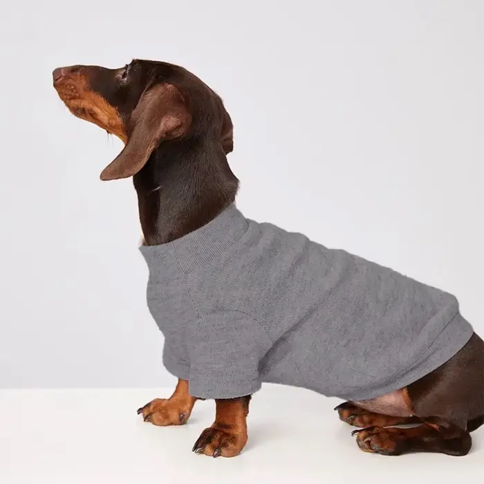 Pull d'hiver chaud et élégant pour chiens, chien teckel, vêtements pour chiots de couleur unie, text
