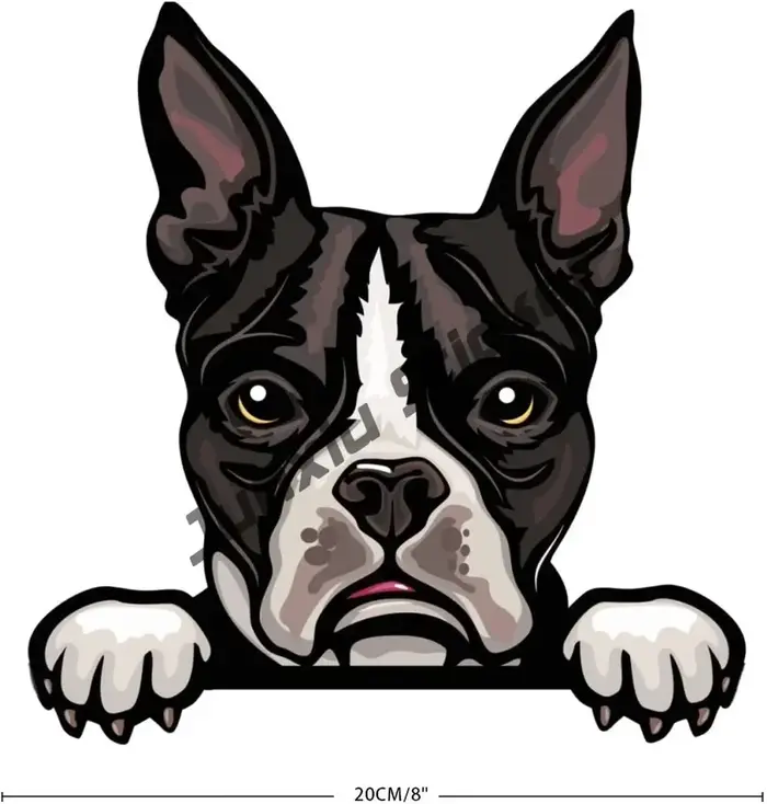 Autocollants créatifs pour chiots et chiens, jolis graffitis de dessin animé, husky sibérien occiden