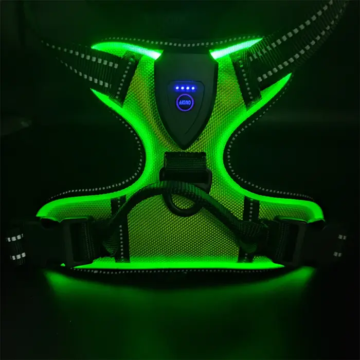 Harnais lumineux LED pour chien, essentiels pour la sécurité de la marche du chien la nuit, gilet po