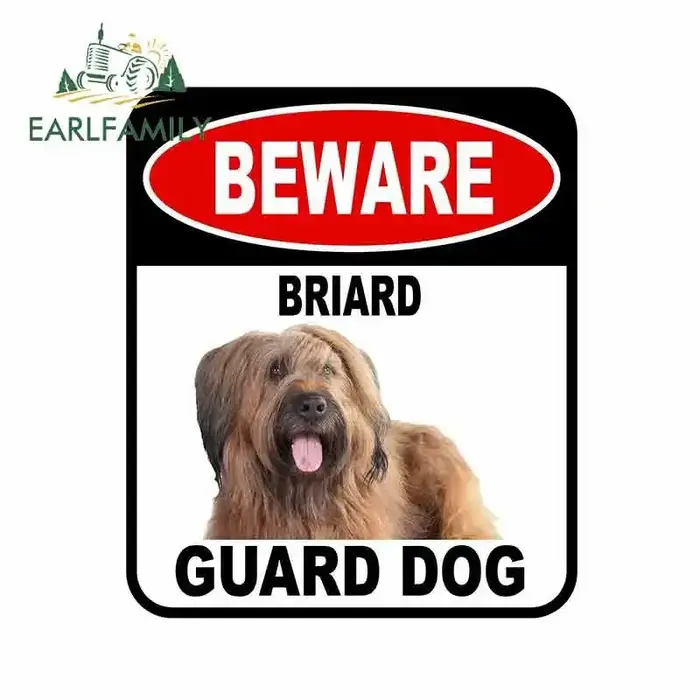 EARLFAMILY BEWARE BRIARD garde chien voiture autocollant couverture rayures Composite signe animal d