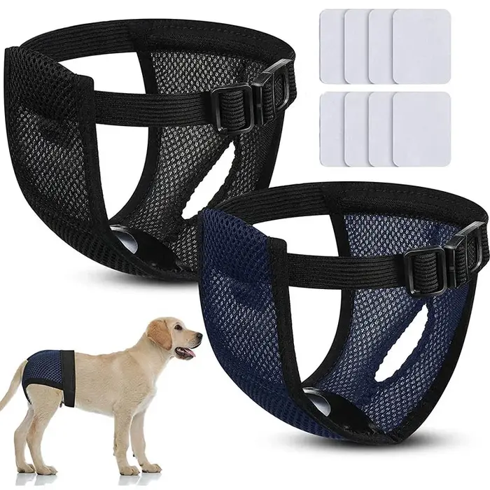 Couches-culottes pour chien femelle hygiéniques avec serviettes cautérisantes pour saignement physiologique et prévention des infections chez les chiens masculins enveloppes lavables