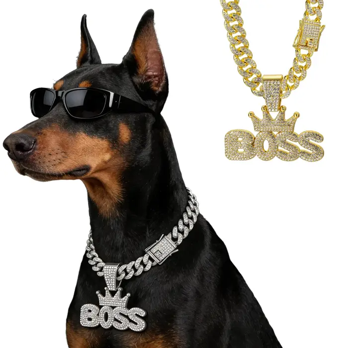 Collier pour chien en or