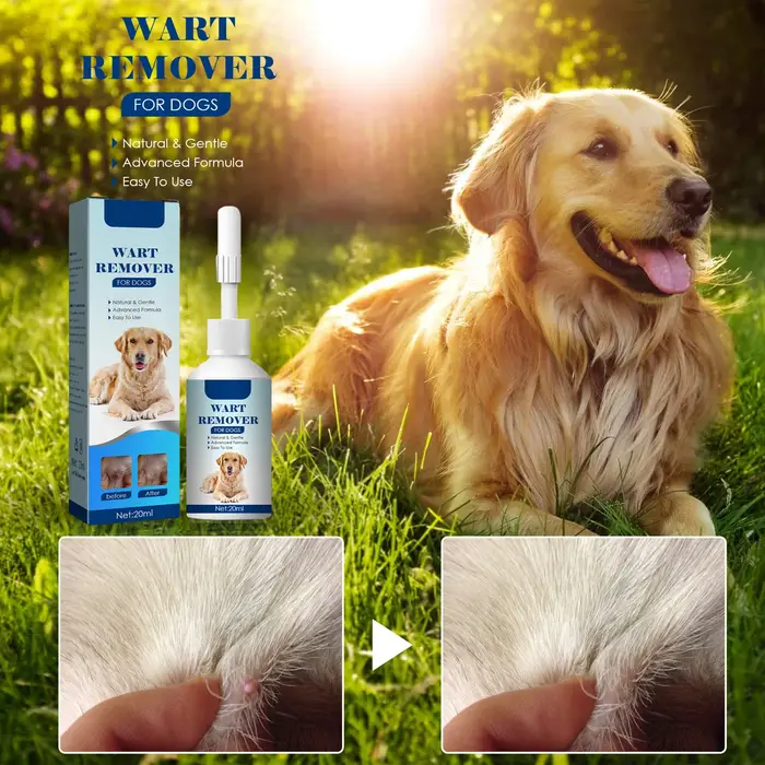 Sérum liquide anti-verrues pour chien, élimination rapide et indolore, non irritant, élimine les exc