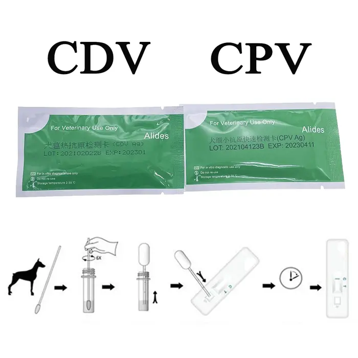 1 pièces canin chien de compagnie CPV CDV Plague rapide Kit de Test