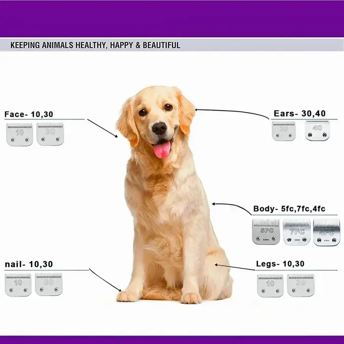 Lame Sokany en acier inoxydable 440C pour toilettage de chiens et chats compatibles avec Andis et Wahl KM tondeuses occassions spéciales