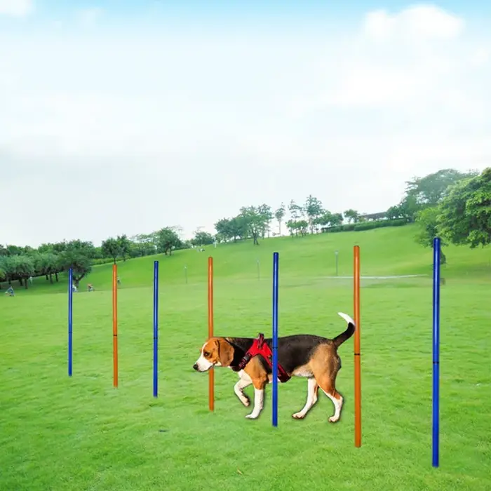 Équipement d'entraînement d'agilité pour chien, outil de saut portable pour chien, jeu de course en plein air, poteau de sport, ensemble d'équipement d'agilité pour animaux de compagnie