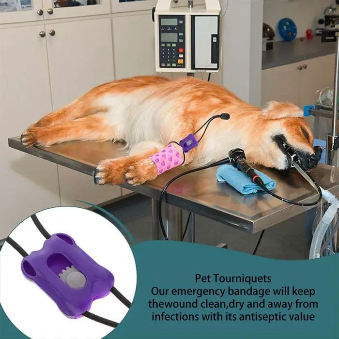 Garrot en plastique pour animaux de compagnie