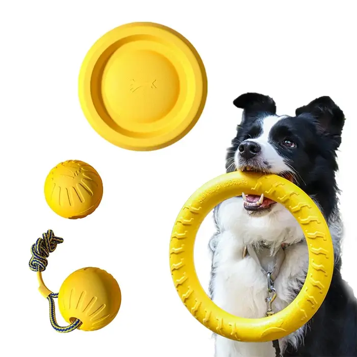 Jouets durables EVA pour chiens