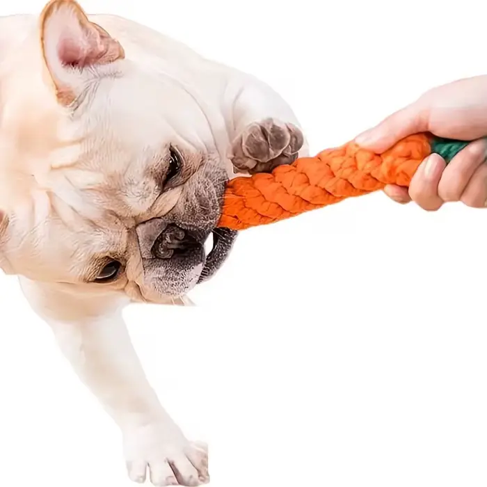 Jouet pour chien en forme de carotte résistant aux morsures avec nœud en corde