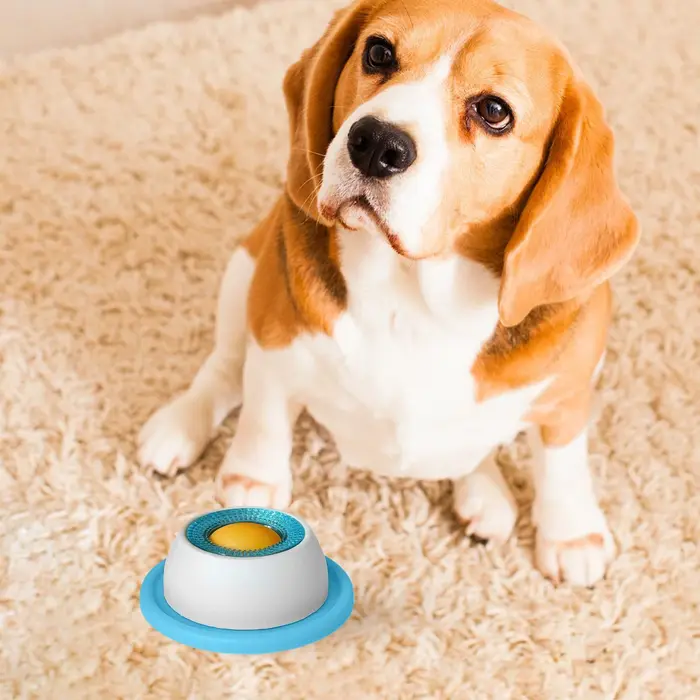Accessoires d'alimentation pour animaux de compagnie
