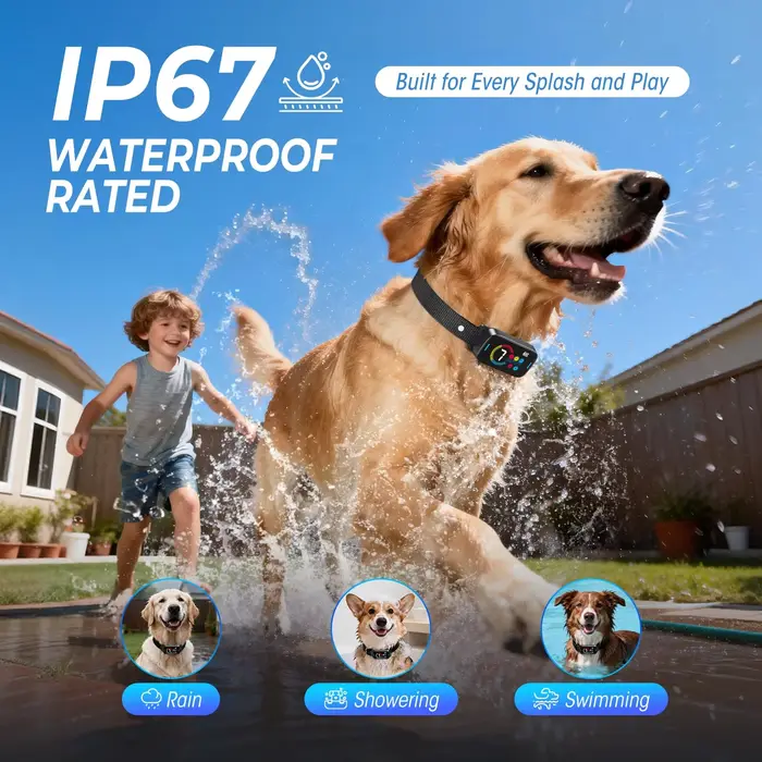Collier anti-aboiement intelligent AI pour chiens de grande