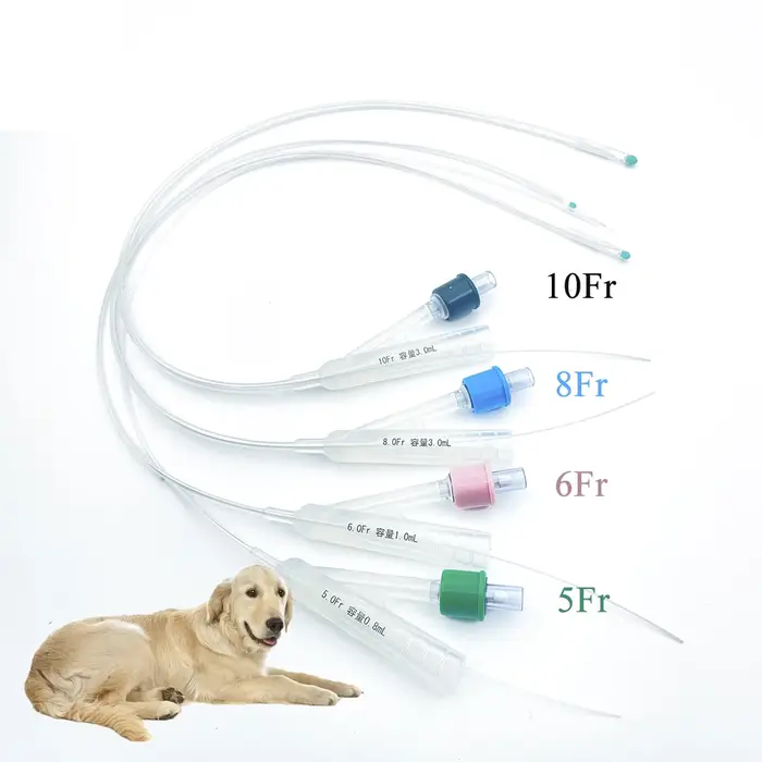Cathéter urinaire pour chien canin à 2 voies