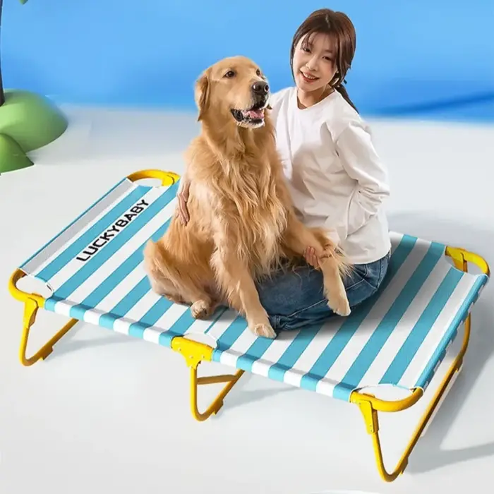 Lit de camping pour chiens