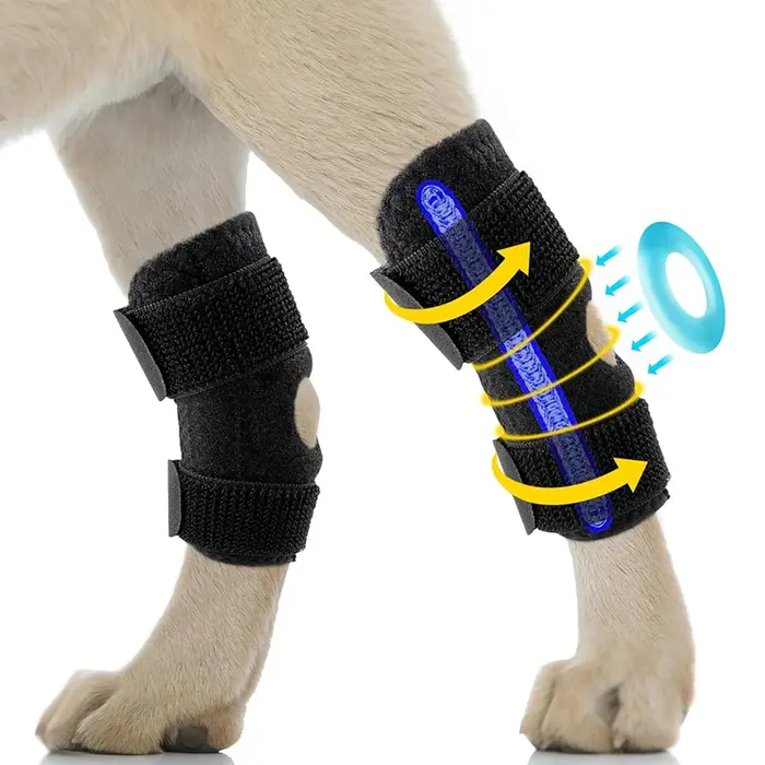 Récupération des blessures pour chiens