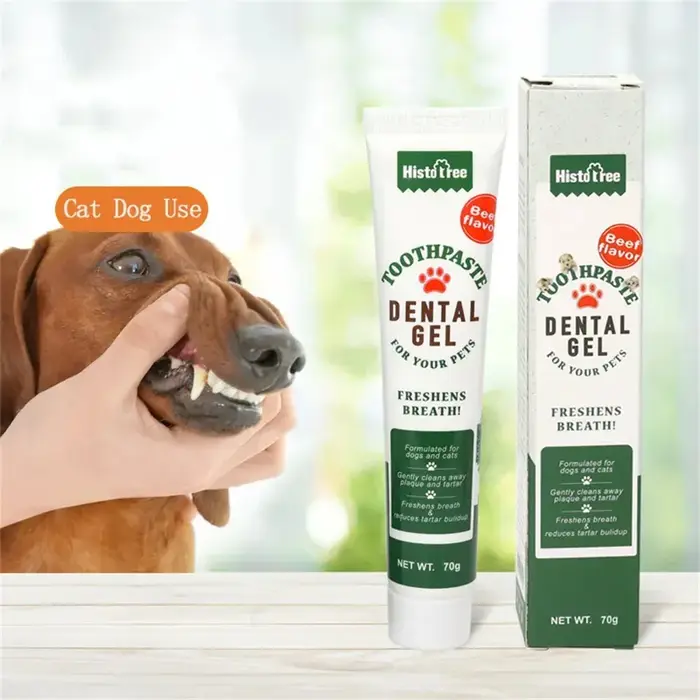 Dentifrice pour chien universel pour la santé bucco-dentaire à utiliser chez soi et chez le vétérinaire pour un sourire éclatant