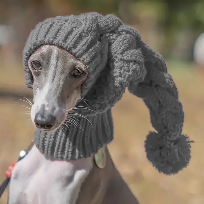 Bonnet en laine tricoté à la main pour chien de grande taille, accessoires pour chiens, snood pour w