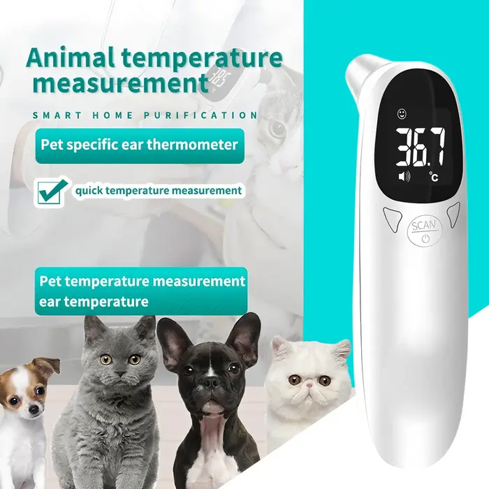 Thermomètre numérique pour animaux de compagnie